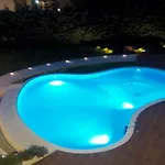 호텔 델 캄포 4*